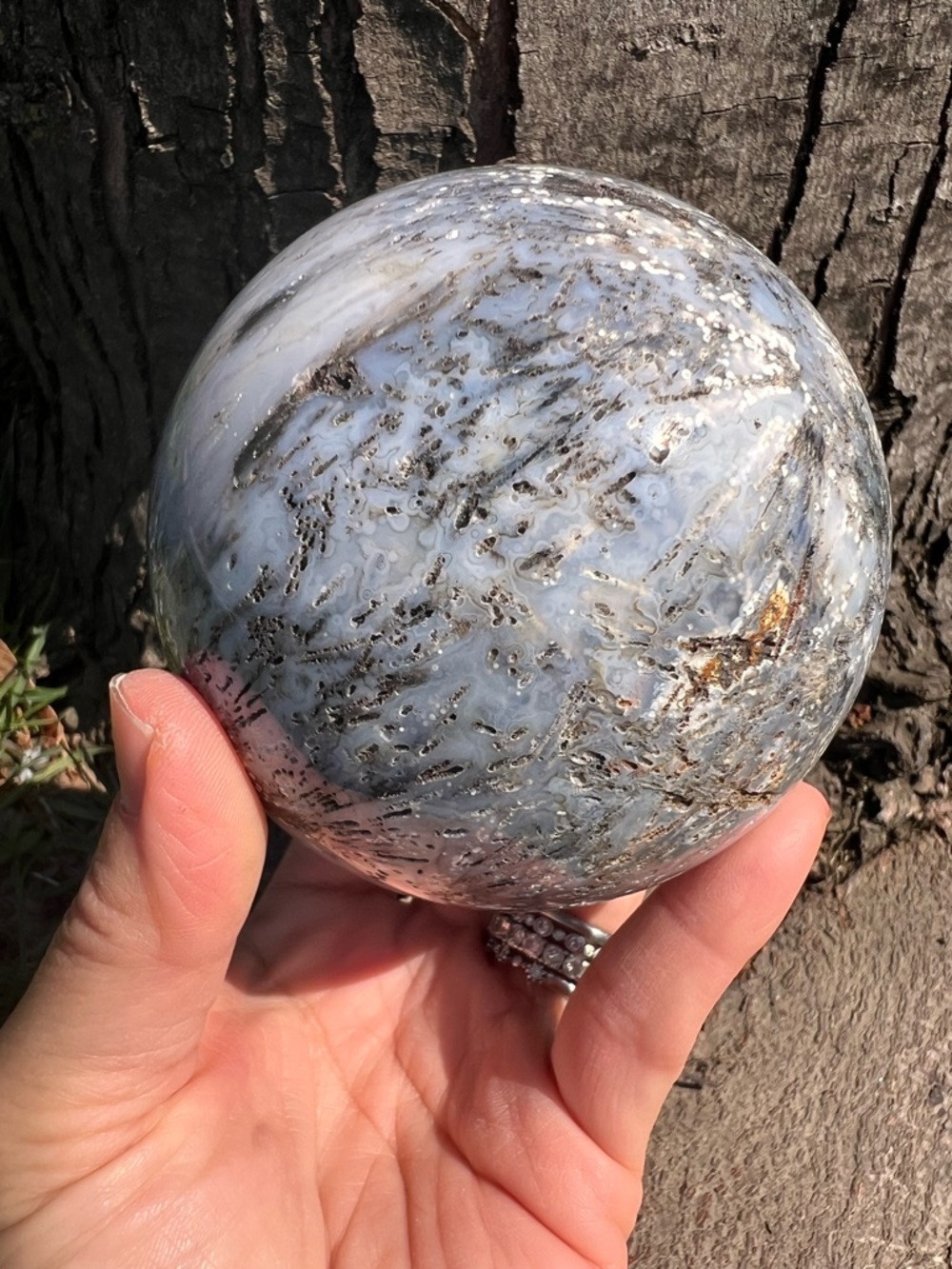 Graveyard (1) point plume agate sphere | crystal ~ uv reactive